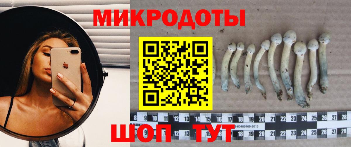 Галлюциногенные грибы ЛСД Туймазы